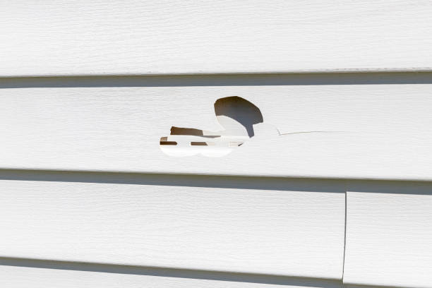 Best Siding Removal and Disposal  in Coats, NC