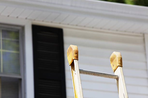 Best Siding Painting and Refinishing  in Coats, NC